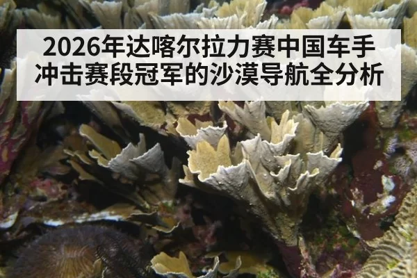 2026年达喀尔拉力赛中国车手冲击赛段冠军的沙漠导航全分析